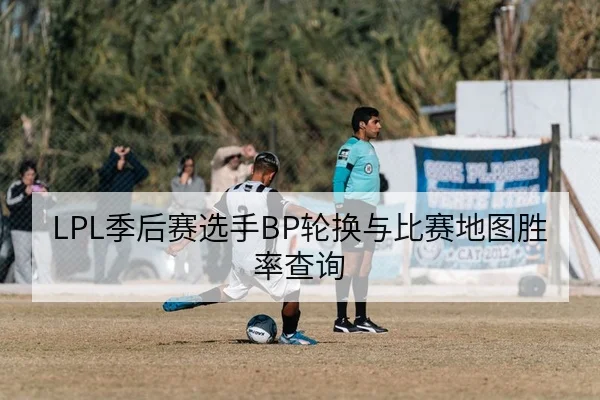 LPL季后赛选手BP轮换与比赛地图胜率查询